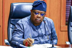 Electricity: ‘Nigerians tell me to slow down, freezers are freezing’ — Power minister