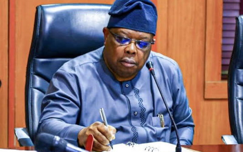 Electricity: ‘Nigerians tell me to slow down, freezers are freezing’ — Power minister