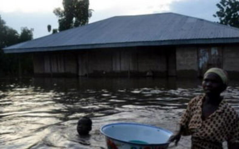 Flash flood: emergency agencies launch rescue operation in Kaduna