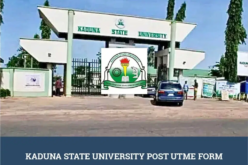 200 Kaduna varsity lecturers resign, ASUU showdown looms