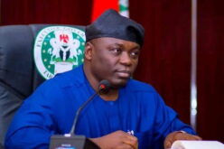 2027: Kefas picks APC women leader as running mate