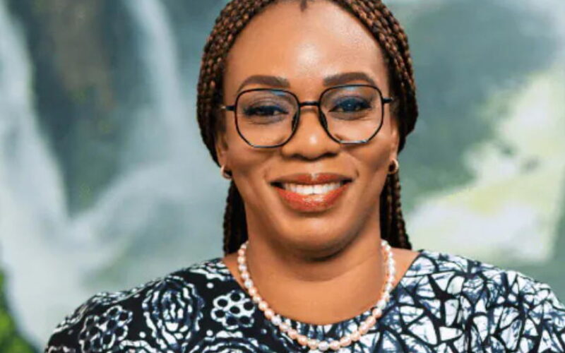 MultiChoice Nigeria clarifies ownership structure under Canal+