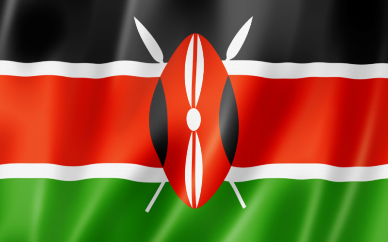 Tourist helicopter crashes in Kenya, no survivors
