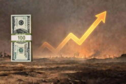Dollar to Naira exchange rate today, August 7, 2026