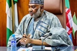 FG to invest more in infrastructure in North-east – Minister