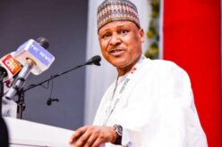 Fuel subsidy: Return to old regime will worsen economic crisis — Min of Information, Idris