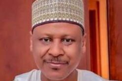 Subsidy removal: FG says savings redirected to development