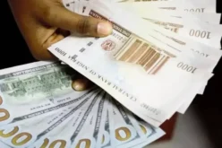 Naira appreciates to N1,408/$ in parallel market