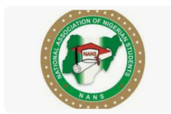 NANS calls for release of student leader arrested over political crisis in Osun