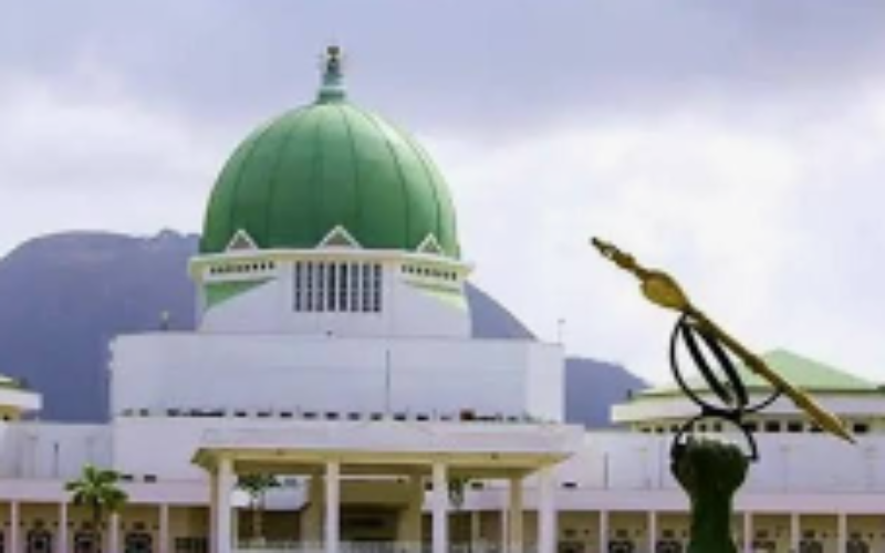 NASS houses over 14,000 workforce daily, excluding lawmakers, visitors — CNA