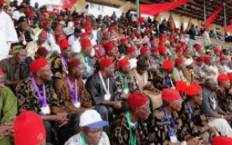 6,000 Igbo families still searching for missing sons, daughters — Intersociety