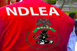 NDLEA adopts more aggressive approach to drug related crimes