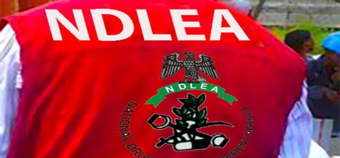 NDLEA adopts more aggressive approach to drug related crimes