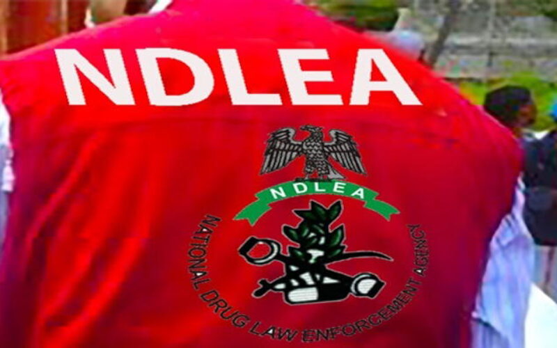 NDLEA adopts more aggressive approach to drug related crimes
