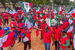 NLC demands energy sector shake-up
