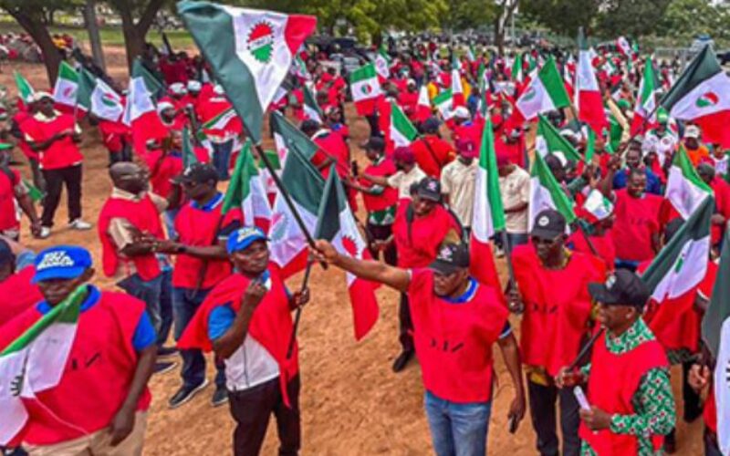 NLC demands energy sector shake-up
