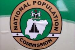 14.5m children registered as Nigeria pushes for legal identity for every child