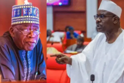 Get rid of ‘kakistocrats’ in your govt or else… — Ndume warns Tinubu