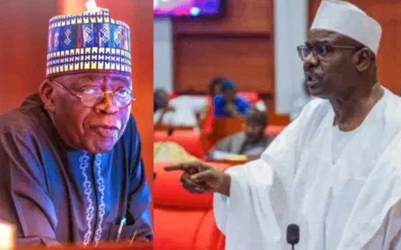 Get rid of ‘kakistocrats’ in your govt or else… — Ndume warns Tinubu