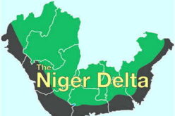 Wills to 2027 Candidates: No Niger Delta cleanup, no vote