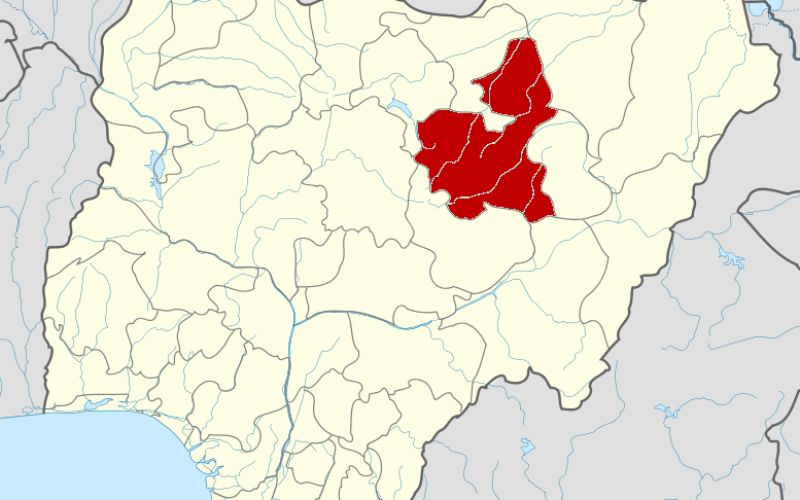 Over 20 killed in Niger community, households flee as violence escalates
