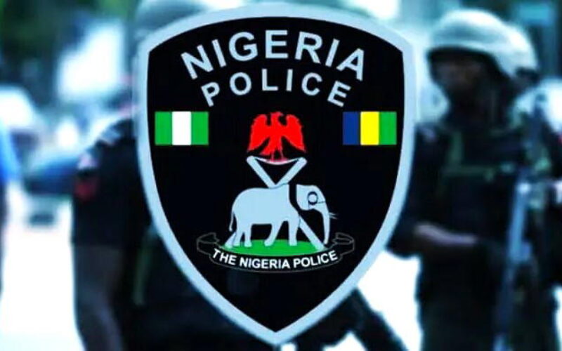Police arrest 10 suspected human parts dealers in Oyo
