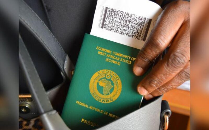 NANS dismisses claims of Northern marginalisation over passport reform