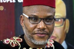 Grant Nnamdi Kanu presidential amnesty – Oluwo begs Tinubu