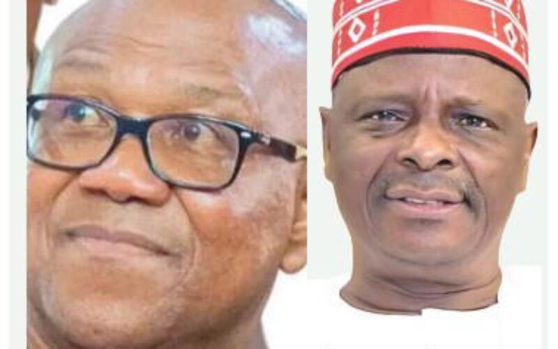 2027: Obi-Kwankwaso Movement rejects merger, backs Ughulu as DG