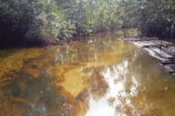 FG prosecutes Ogoni leader over alleged seizure of oil wells  