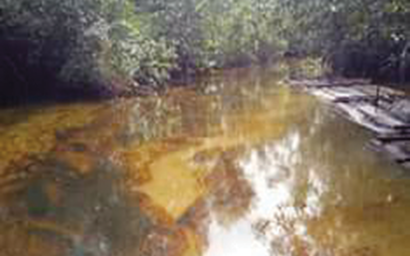 FG prosecutes Ogoni leader over alleged seizure of oil wells  