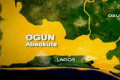 Family, Ogun govt clash over alleged reallocation of 11-acre poultry farm to Chinese firm