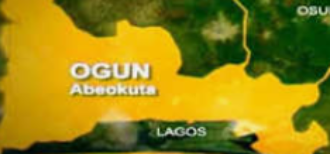 Family, Ogun govt clash over alleged reallocation of 11-acre poultry farm to Chinese firm