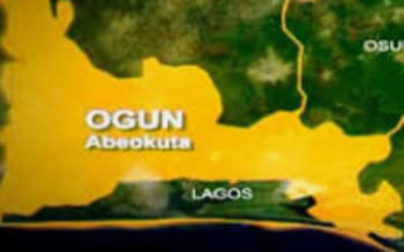 Family, Ogun govt clash over alleged reallocation of 11-acre poultry farm to Chinese firm