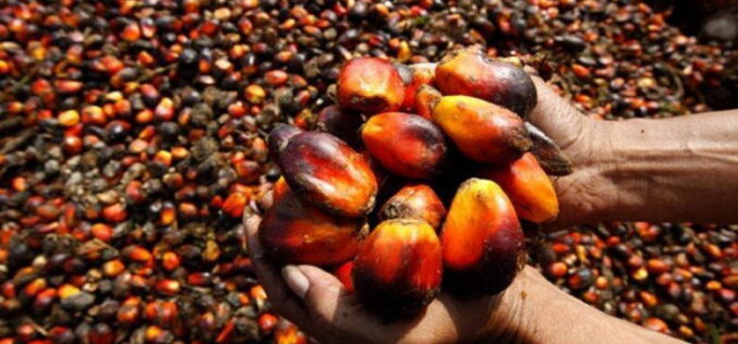 Nigeria fights to save N1.4trn agro exports