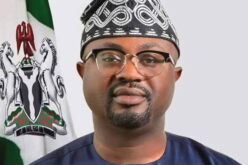 OLUBUNMI TUNJI-OJO: Beyond passport reforms