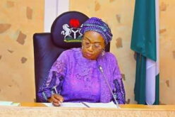 FG launches $1bn HOPE social protection programme