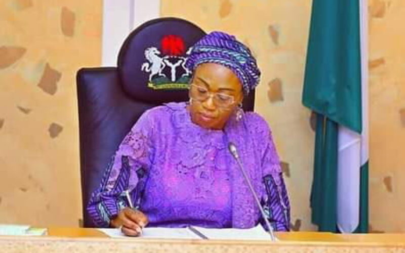 FG launches $1bn HOPE social protection programme