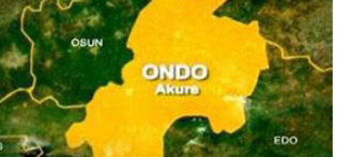 Ondo govt bans sales of unverified alcohol after ” Monkey Tail” kills 30