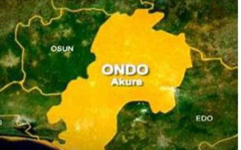 Ondo govt bans sales of unverified alcohol after ” Monkey Tail” kills 30