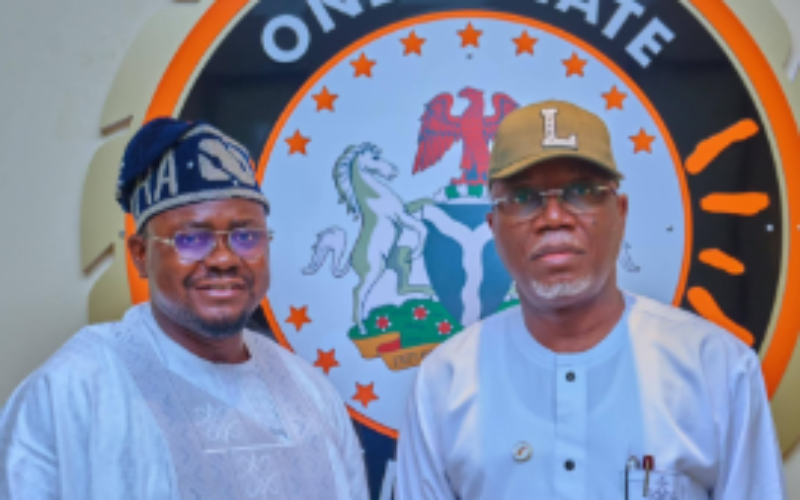 Ondo electricity law will reduce poverty, boost agriculture — Arobo