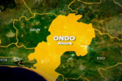 Ondo govt bans sales of unverified alcohol after ” Monkey Tail” kills 30