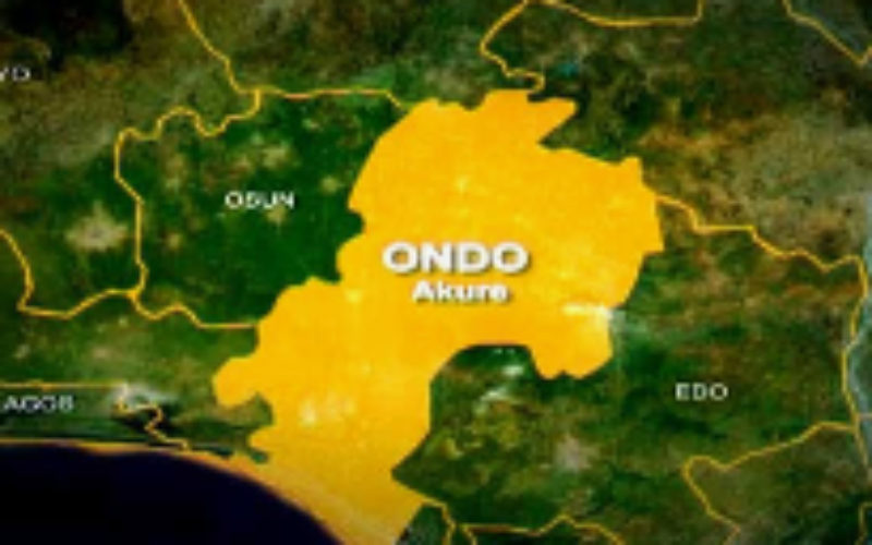 Ondo govt bans sales of unverified alcohol after ” Monkey Tail” kills 30