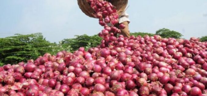 NOPPMAN lifts onion export ban to Ghana, demands safe trade
