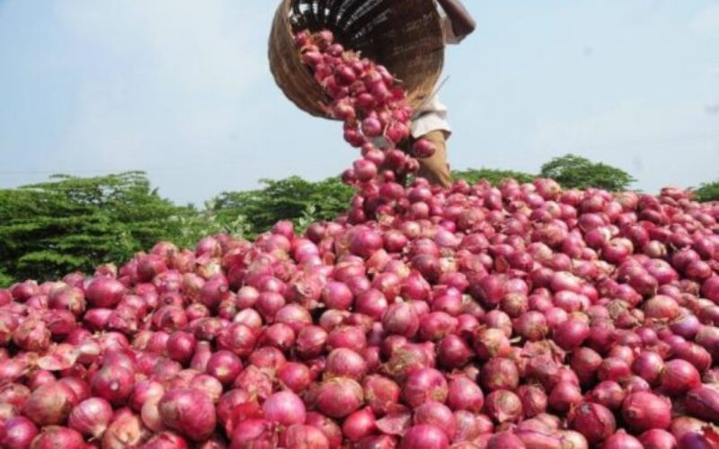 NOPPMAN lifts onion export ban to Ghana, demands safe trade