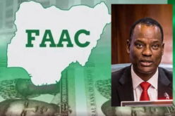 Allocations can’t guarantee prosperity for states —Oyedele