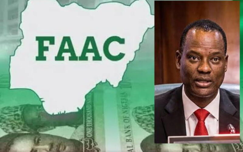 Allocations can’t guarantee prosperity for states —Oyedele