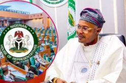 PFIPC probe: Businessman tells Reps how he  paid Adeyemi N400m for contract