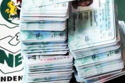 Osun Election: South-East Youths urge voters to use PVCs wisely in 2027