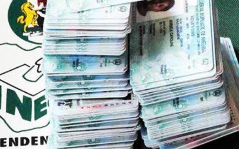 Osun Election: South-East Youths urge voters to use PVCs wisely in 2027